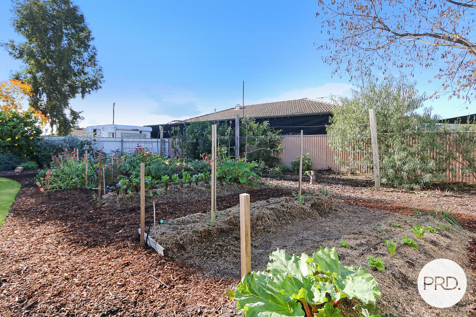 120 Wigg Street WODONGA 19