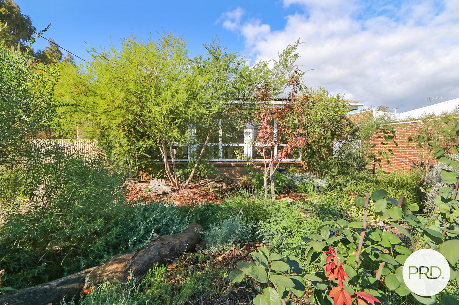 120 Wigg Street WODONGA 20