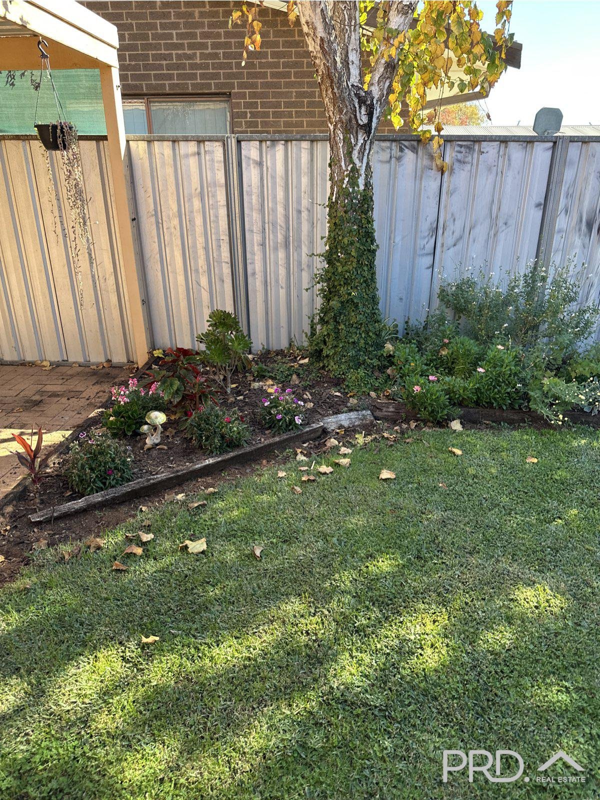 1/20 Wilkie Drive IRYMPLE 17