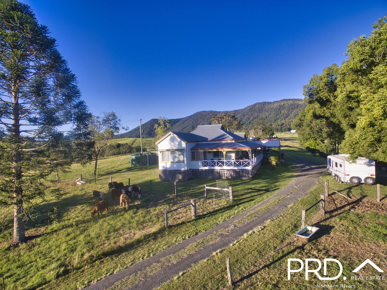 1204 Summerland Way WIANGAREE 2