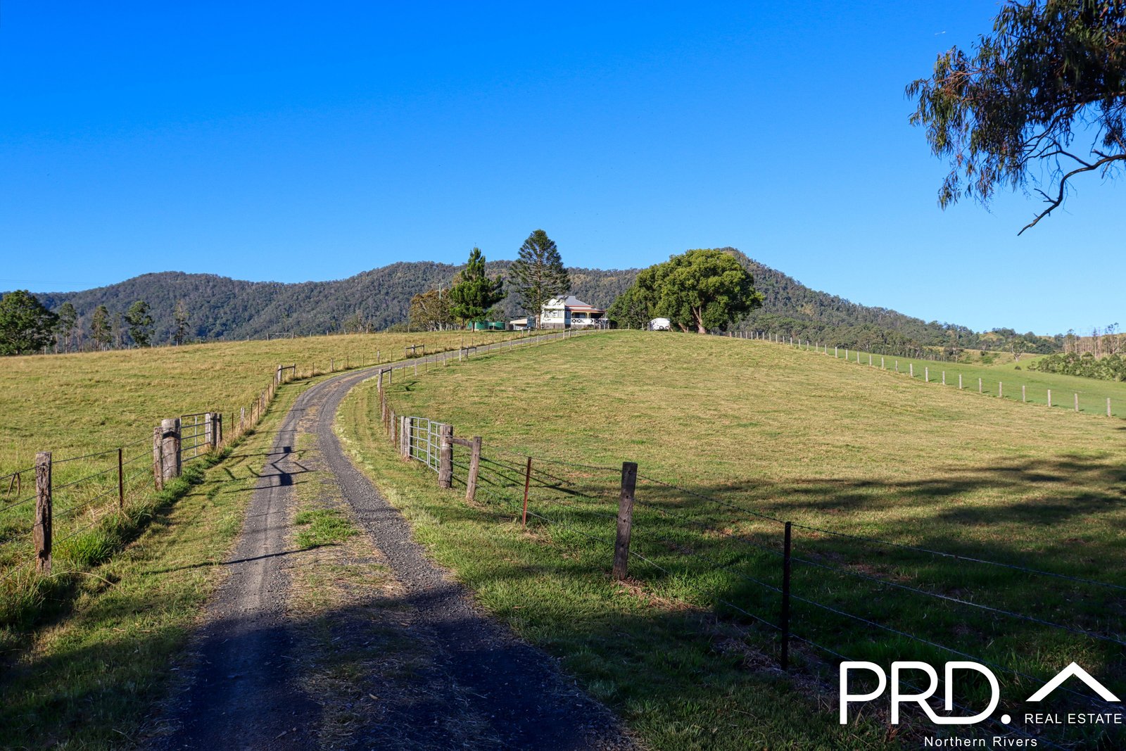 1204 Summerland Way WIANGAREE 31