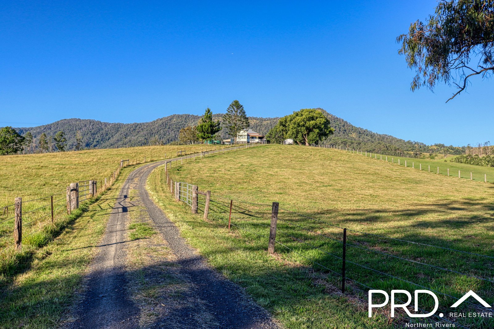 1204 Summerland Way WIANGAREE 32