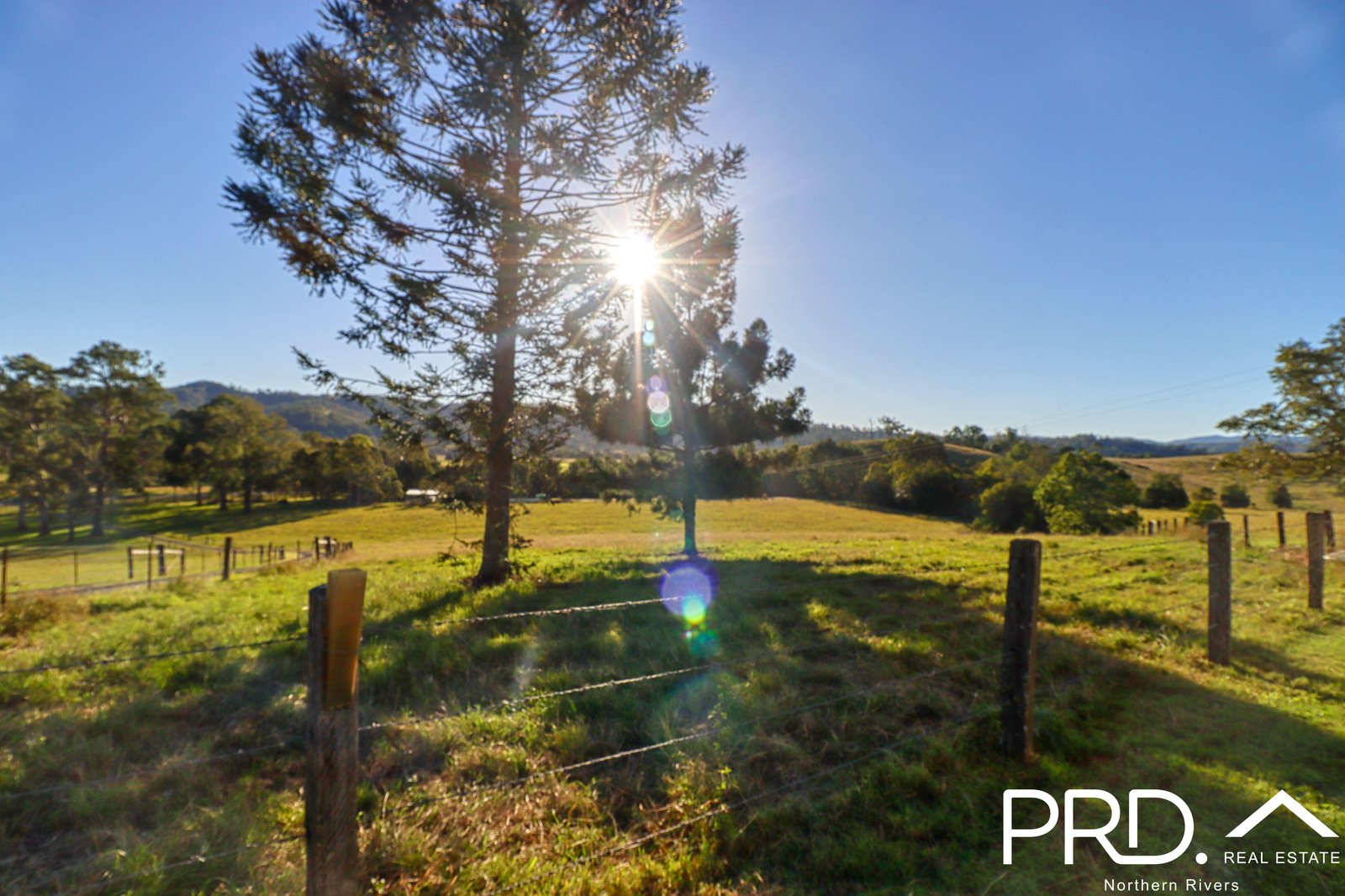 1204 Summerland Way WIANGAREE 35