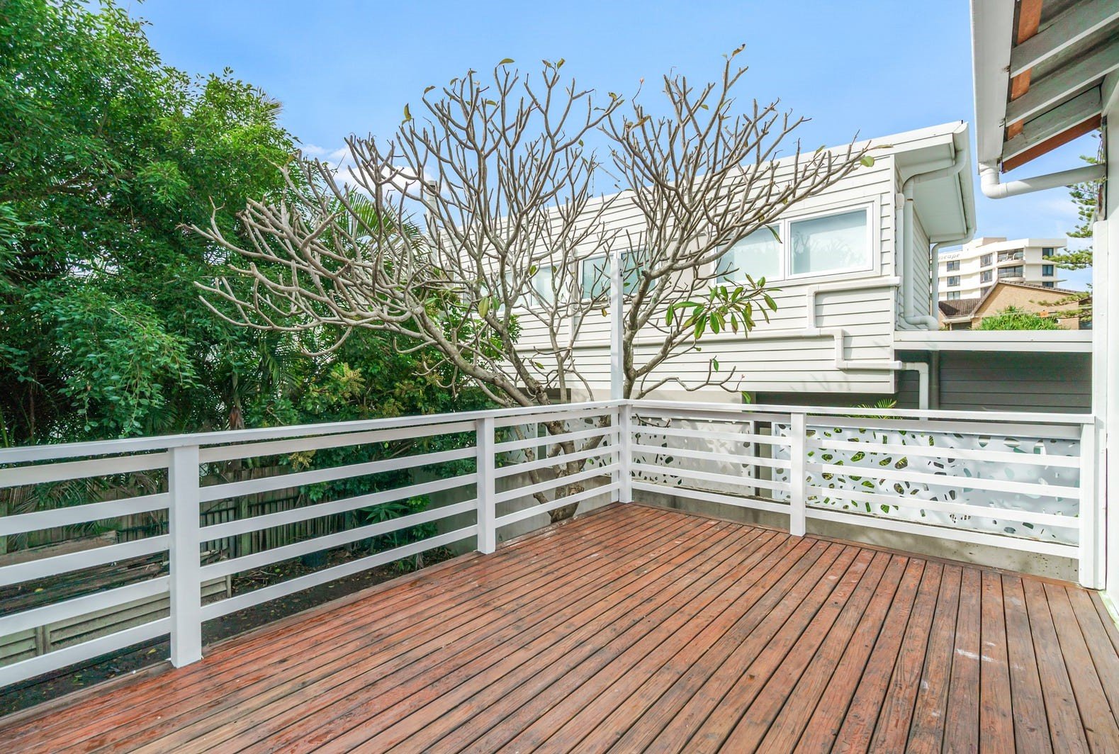 1209 Gold Coast Highway PALM BEACH 5