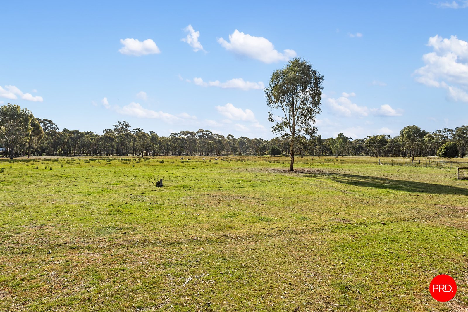 121 Allies Road MYERS FLAT 25