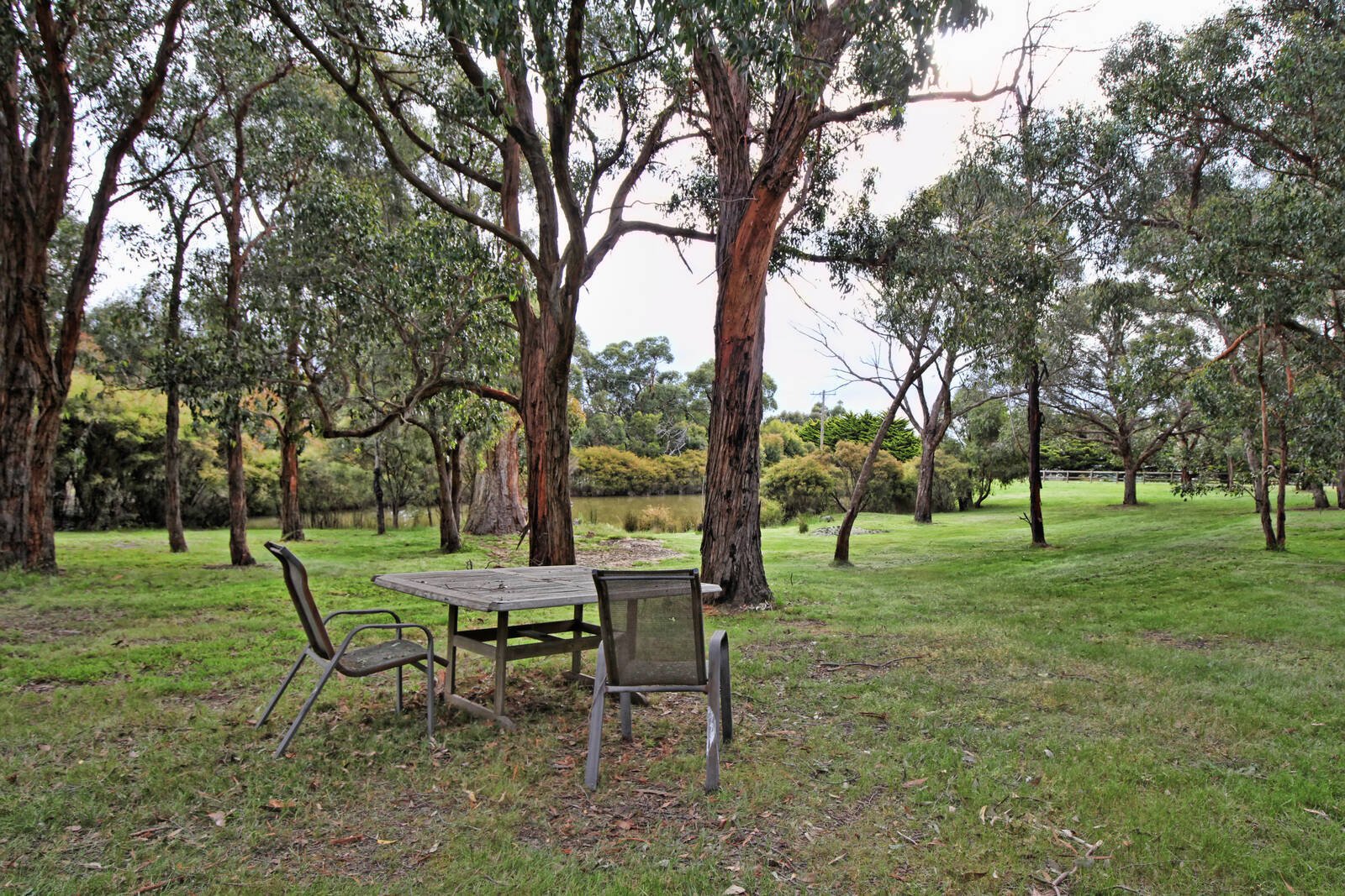 Real Estate and Property in 121 Benson Road, Gisborne South, VIC