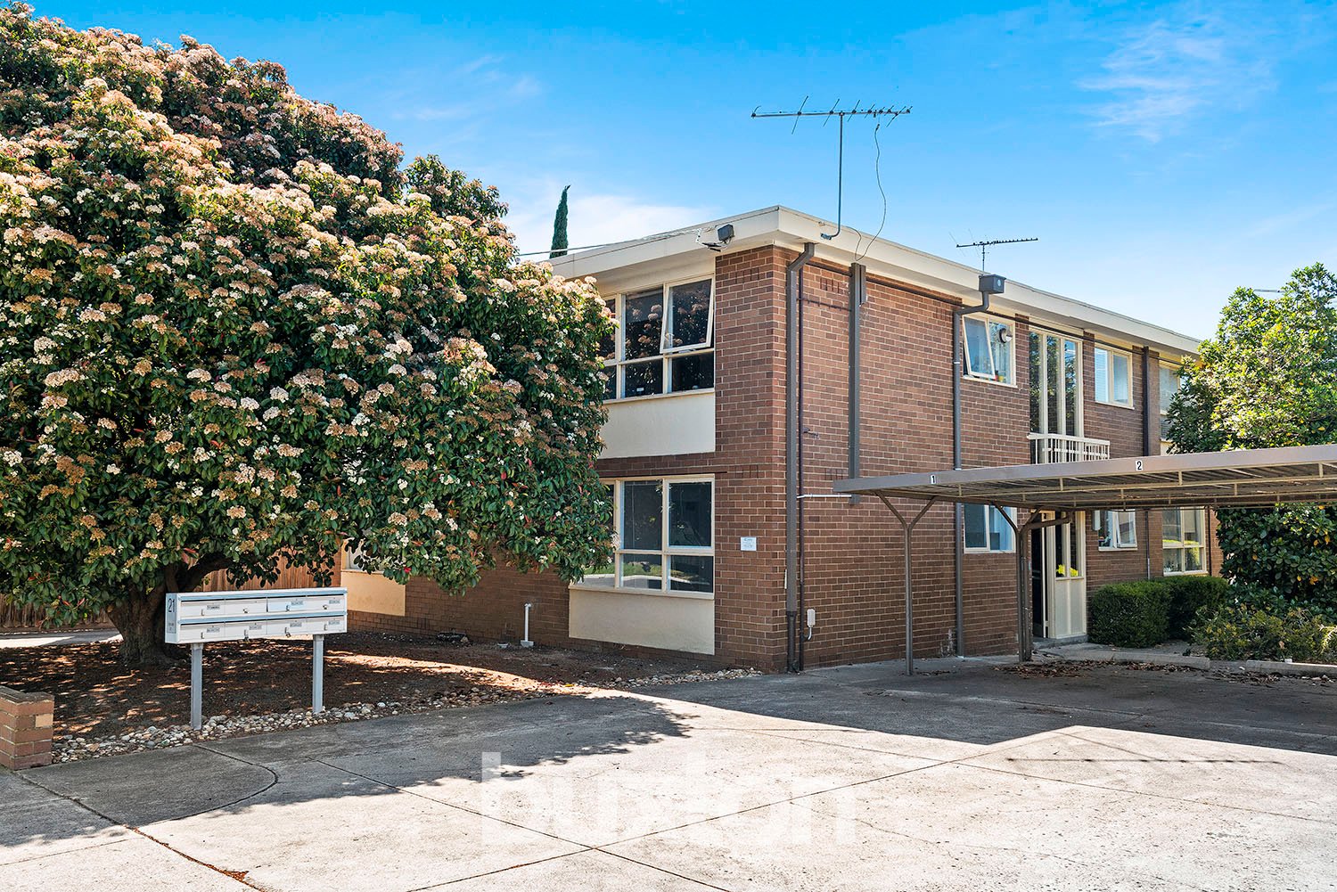 Gallery: 1/21 Roydon Street