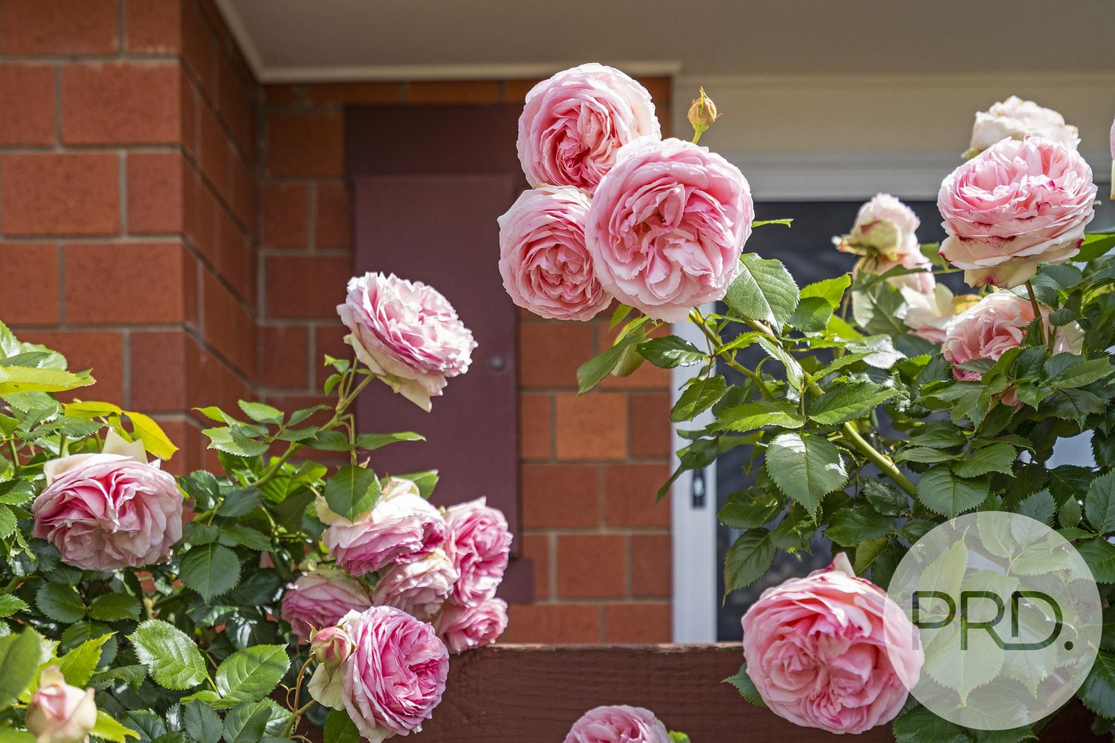 12/104 Abbotsfield Road CLAREMONT 5