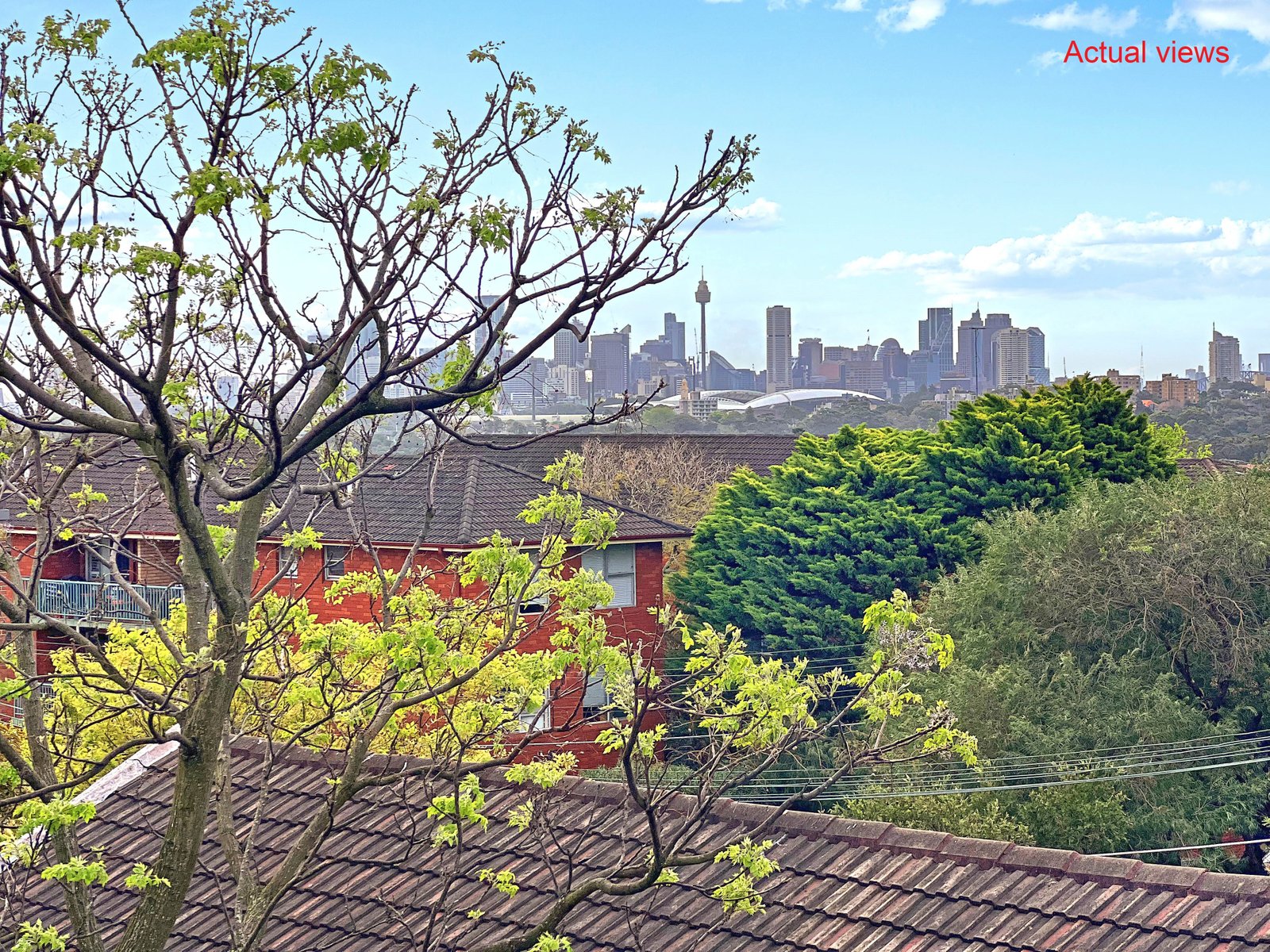 12/107 Wentworth Street RANDWICK 8