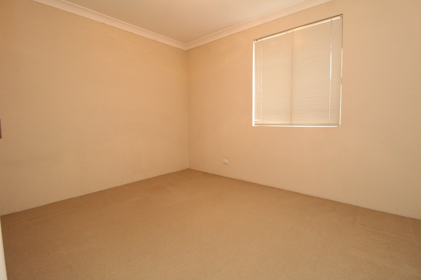 12/11-13 Gladstone Street BEXLEY 4