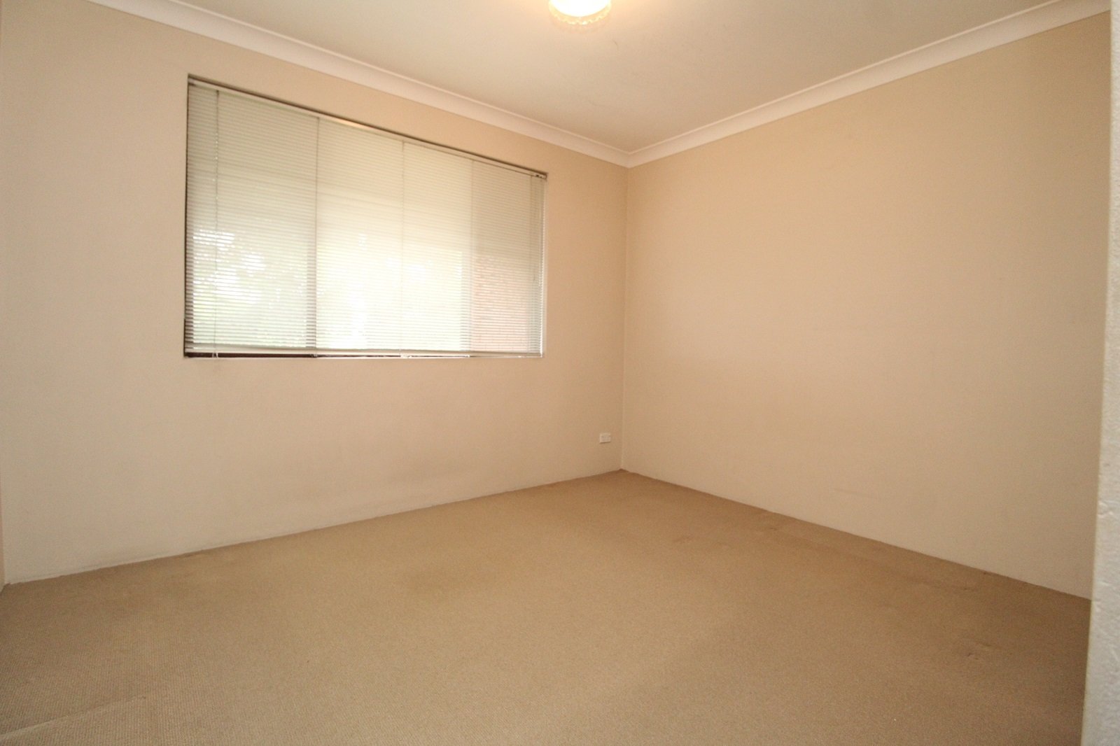 12/11 Gladstone Street BEXLEY 5