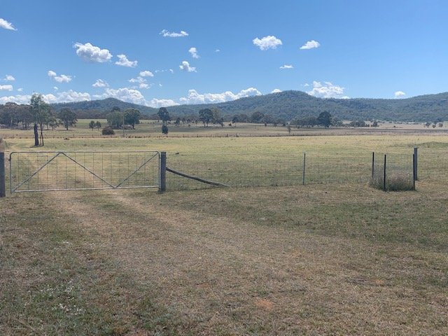 1211 Yarrawa Road DENMAN 4