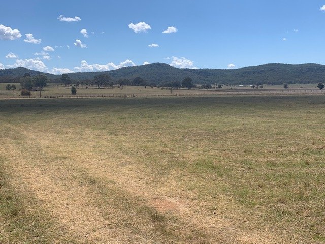 1211 Yarrawa Road DENMAN 5