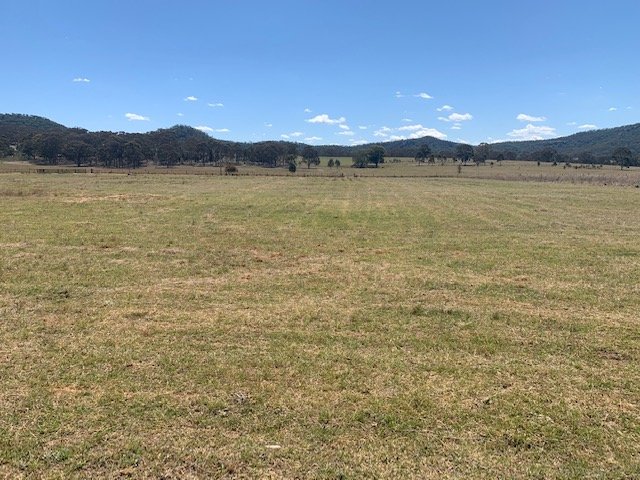 1211 Yarrawa Road DENMAN 6