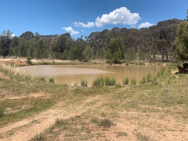 1211 Yarrawa Road DENMAN 7