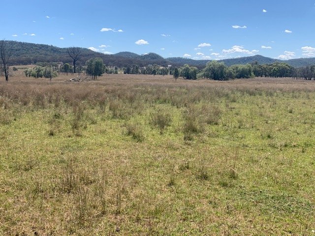 1211 Yarrawa Road DENMAN 8