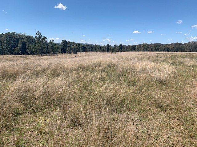 1211 Yarrawa Road DENMAN 13