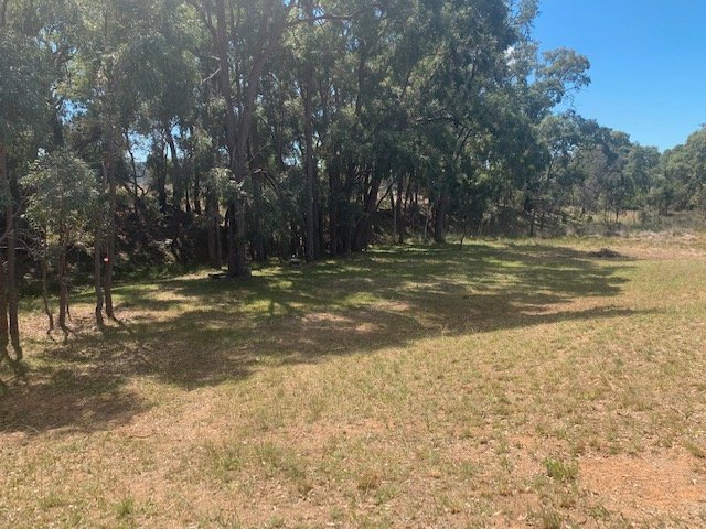 1211 Yarrawa Road DENMAN 15