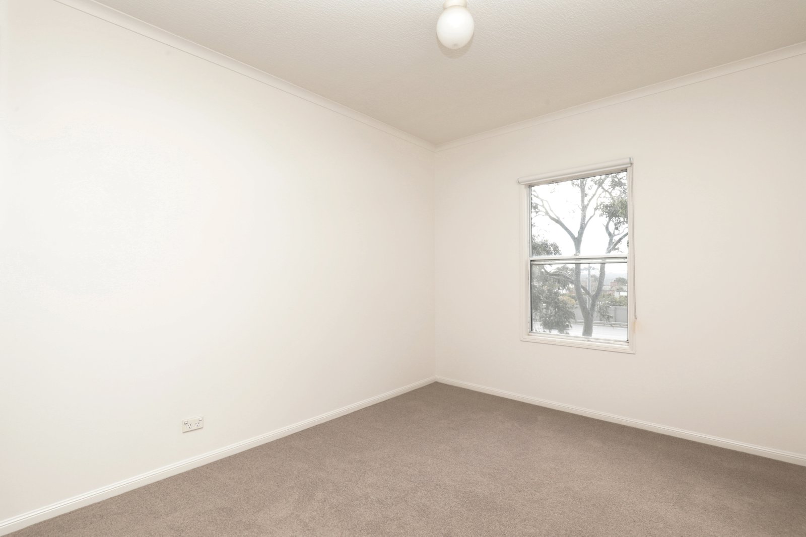 Gallery: 12/119 Wellington Street