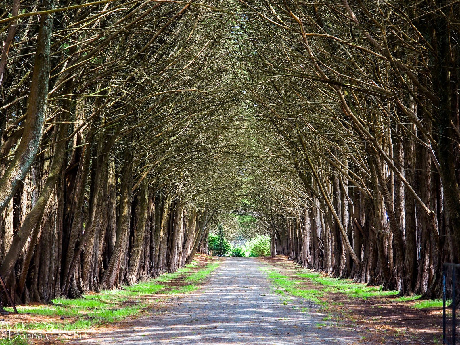 Real Estate and Property in 1/213 Boundary Road, Woodend, VIC