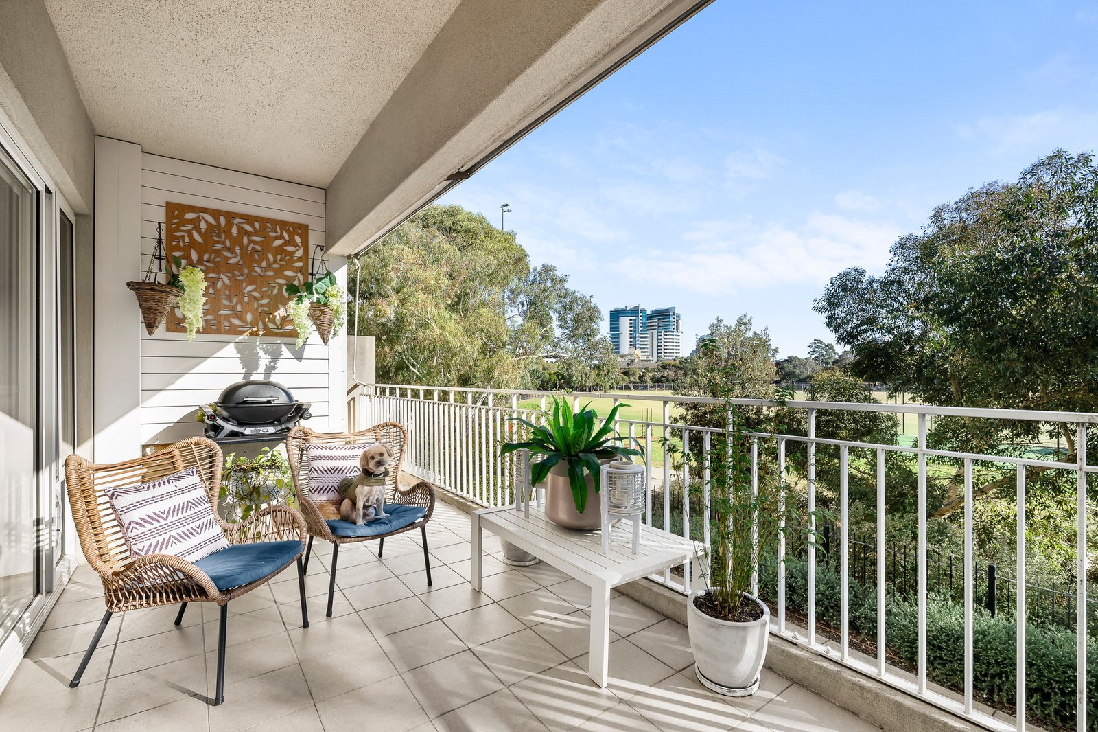 Gallery: 12/15 Liardet Street