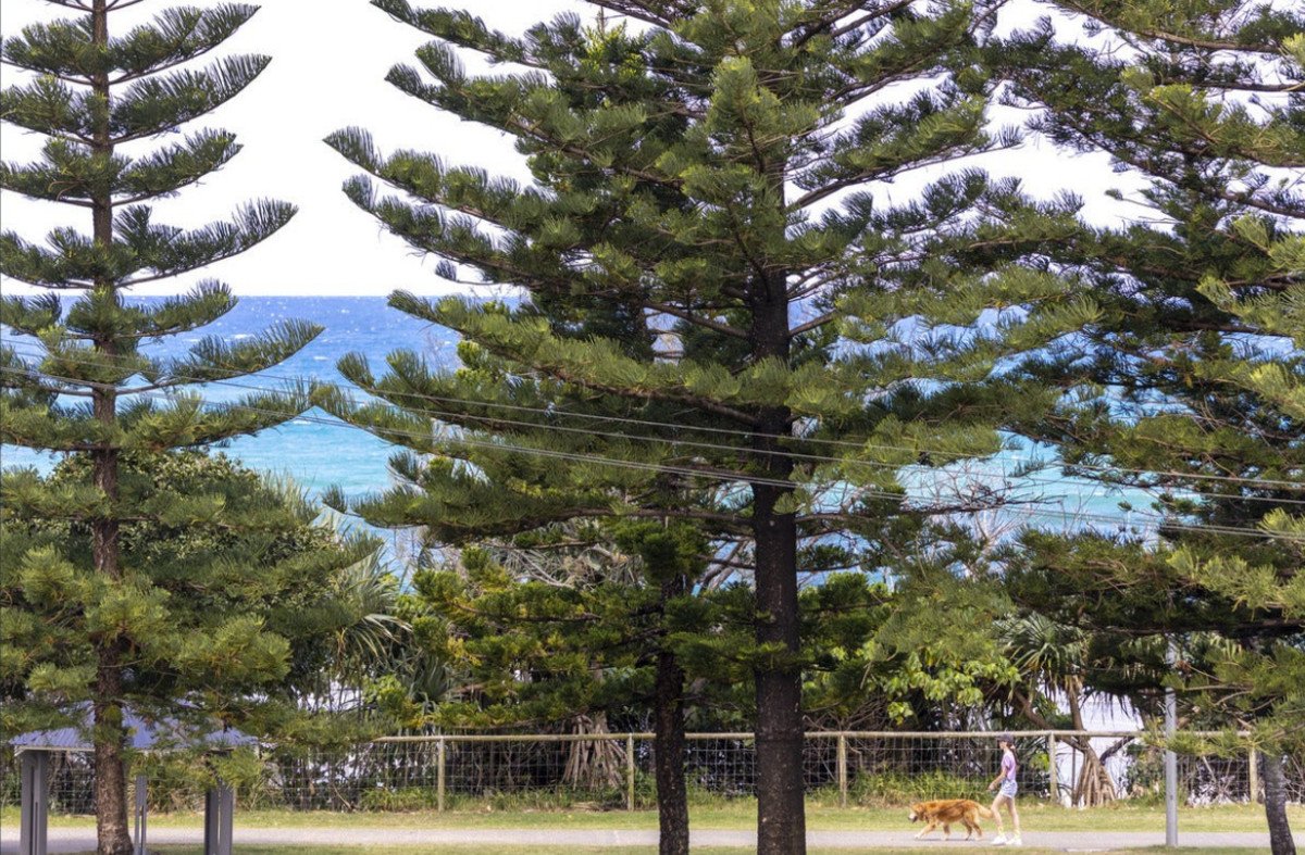 12/1927 Gold Coast Highway Burleigh Heads 18