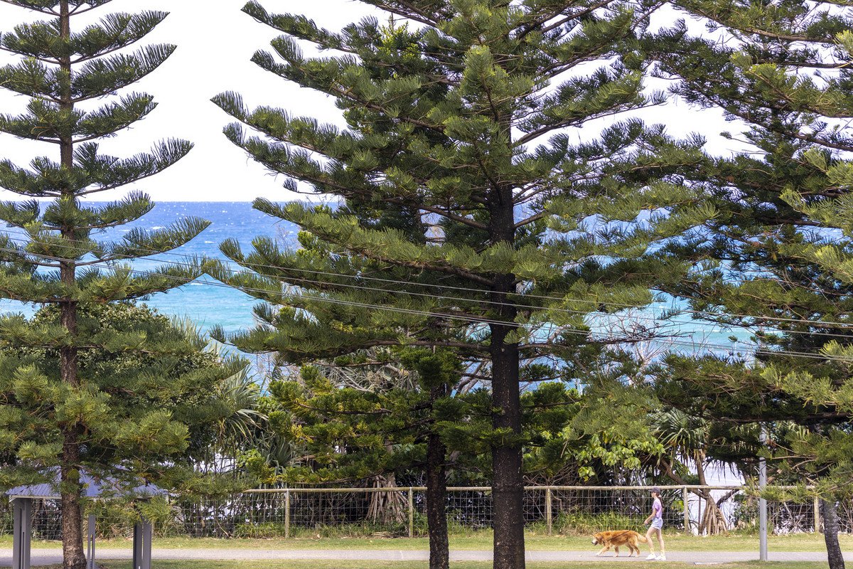 12/1927 Gold Coast Highway Burleigh Heads 16