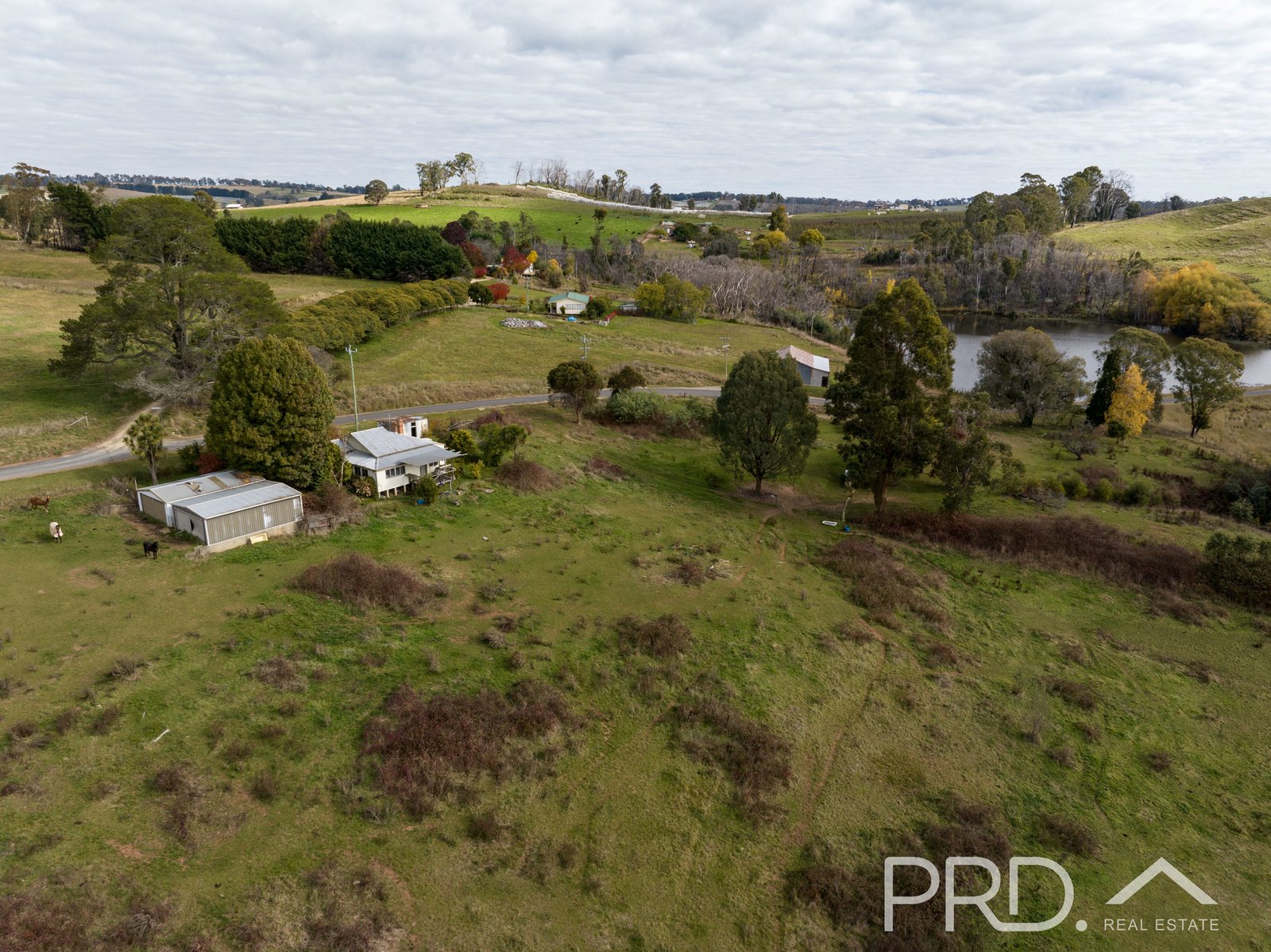 122 Mayday Road BATLOW 4