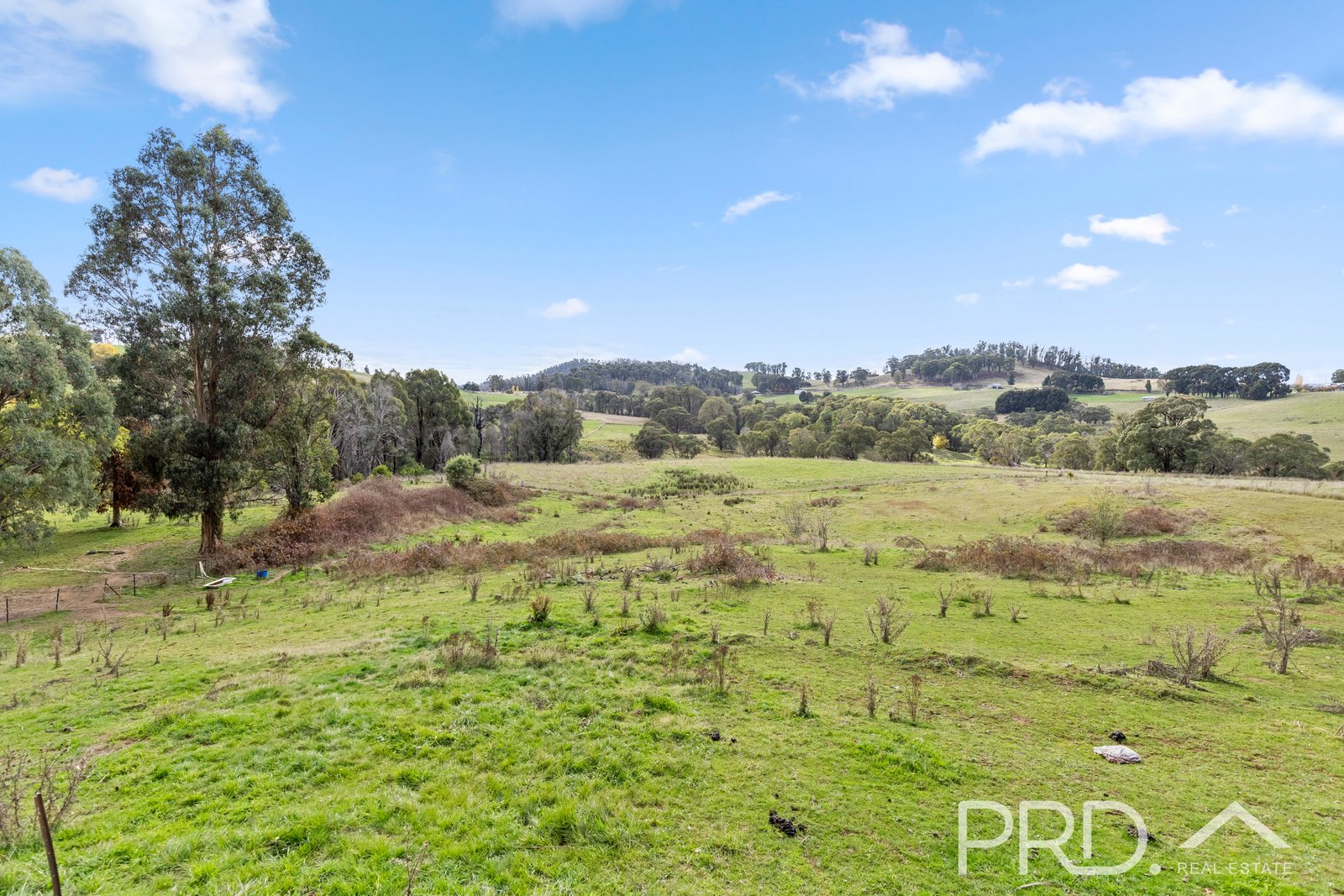 122 Mayday Road BATLOW 14