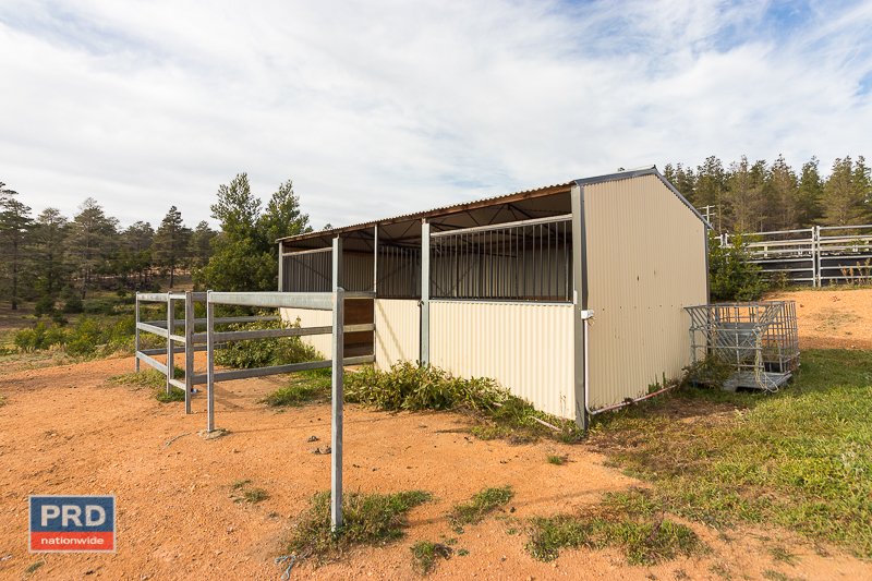 122 Pinebank Drive LOWER BORO 16