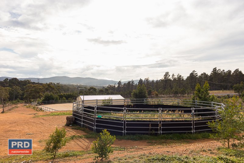 122 Pinebank Drive LOWER BORO 17