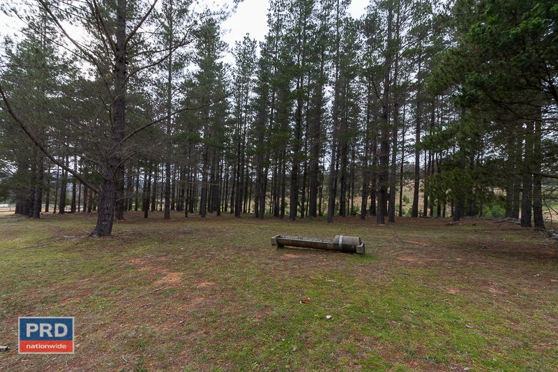 122 Pinebank Drive LOWER BORO 20