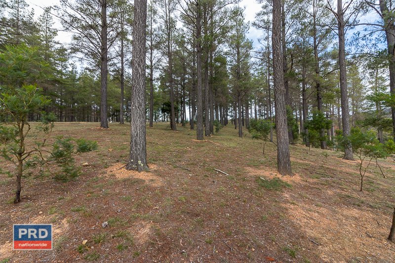 122 Pinebank Drive LOWER BORO 22