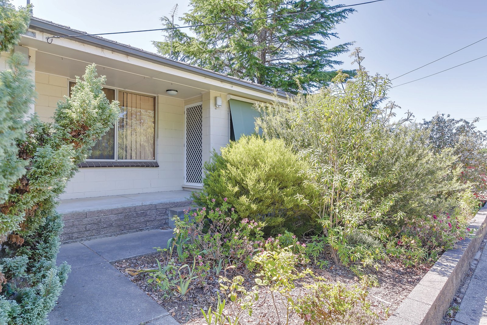 Gallery: 1/221 Ripon Street South