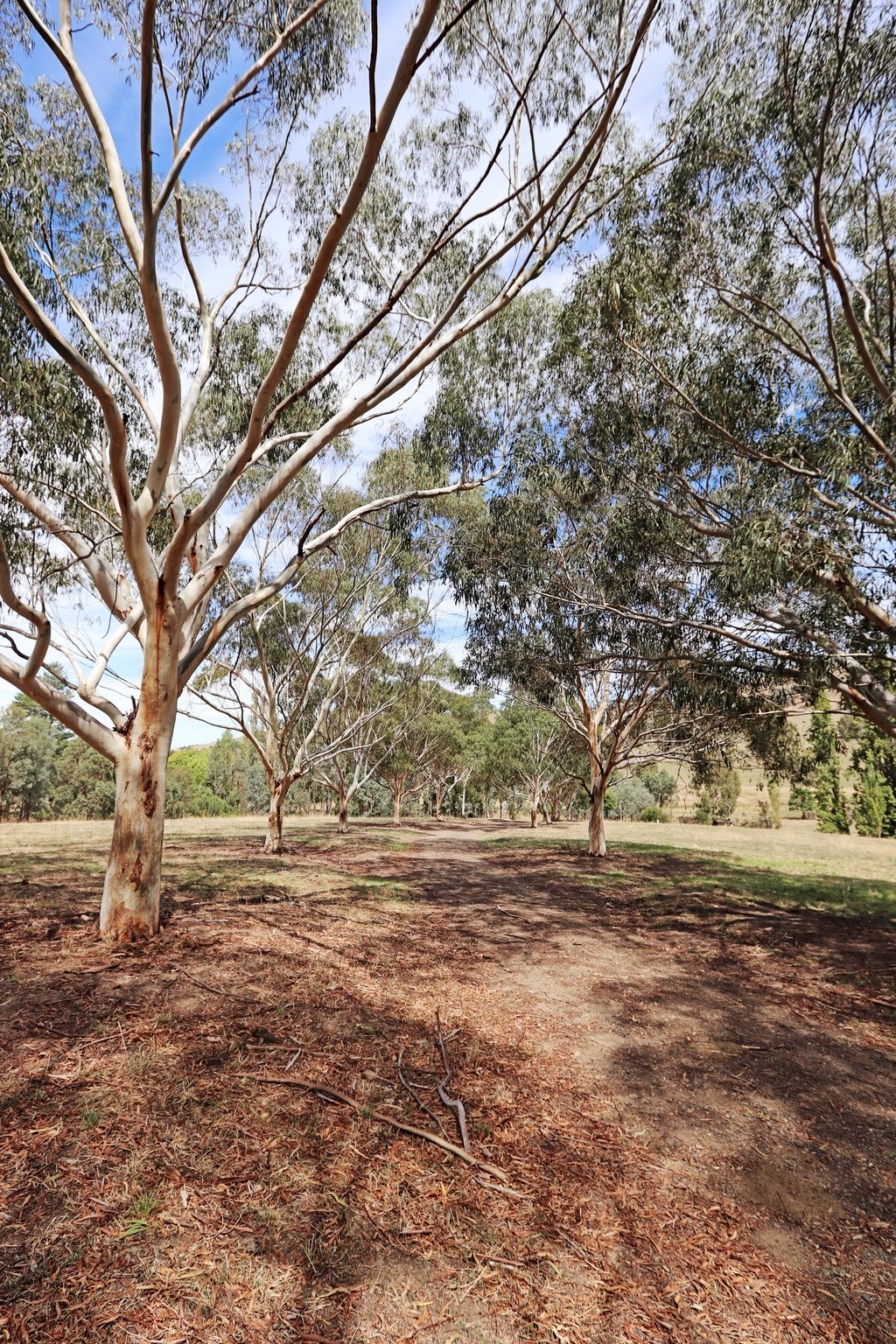 1223 Munderoo-Ournie Road TUMBARUMBA 2