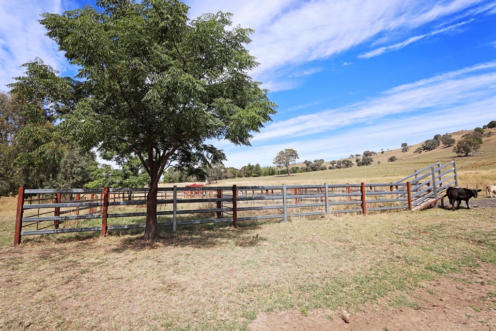 1223 Munderoo-Ournie Road TUMBARUMBA 14