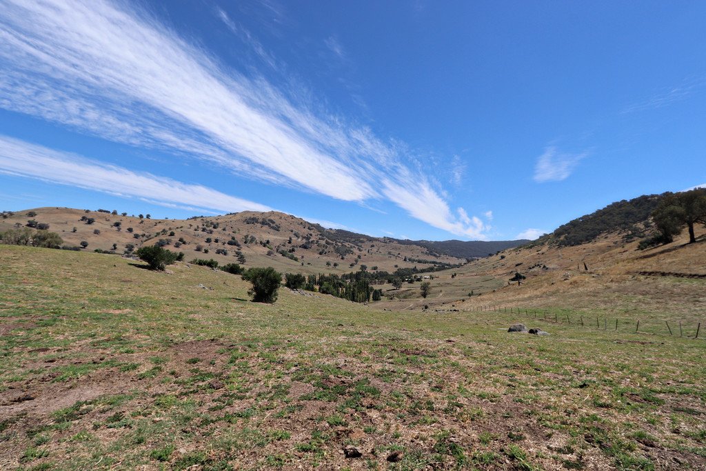 1223 Munderoo-Ournie Road TUMBARUMBA 15