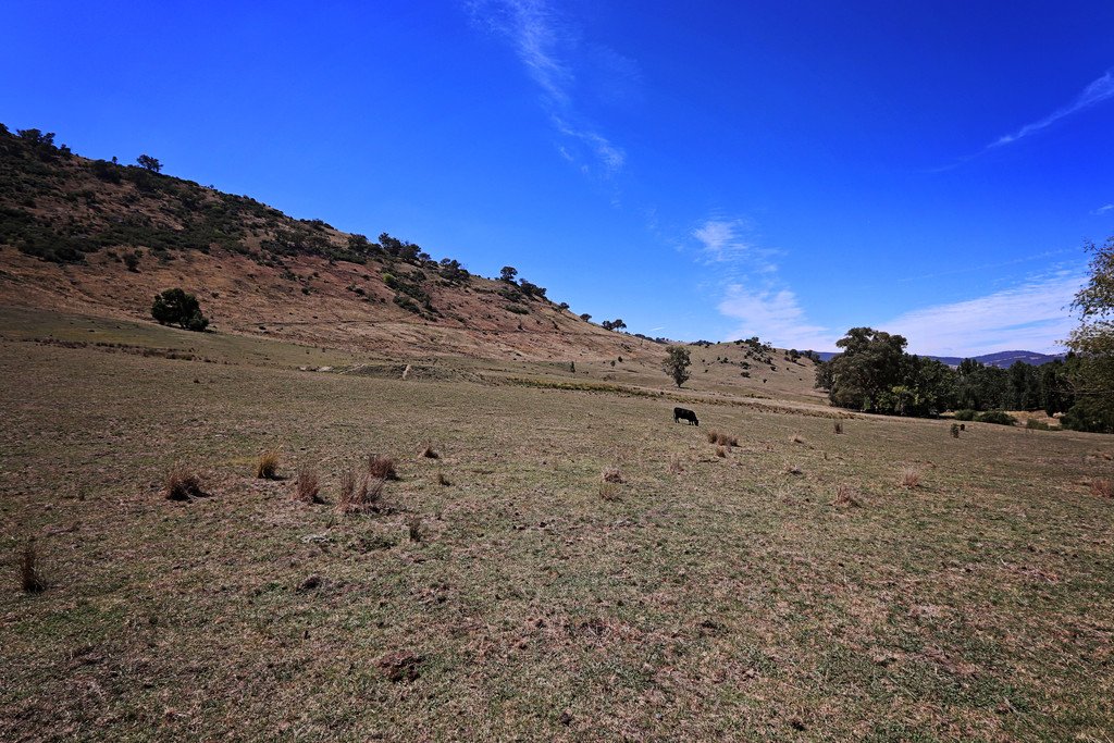 1223 Munderoo-Ournie Road TUMBARUMBA 16