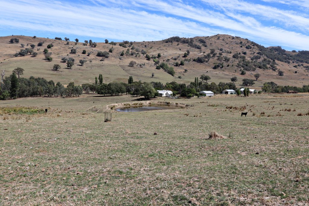 1223 Munderoo-Ournie Road TUMBARUMBA 17