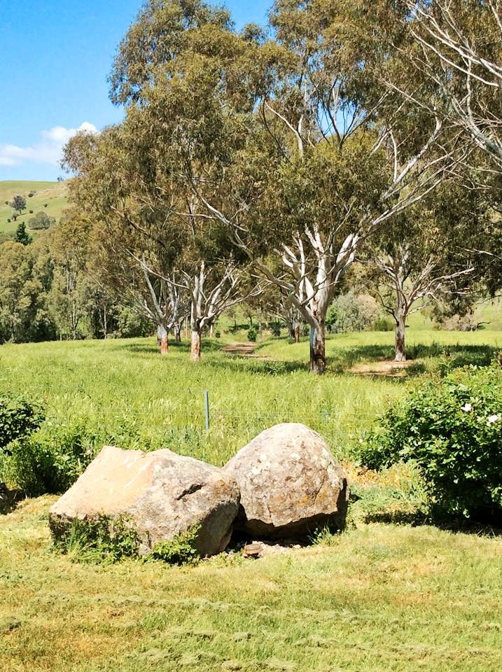 1223 Munderoo-Ournie Road TUMBARUMBA 22