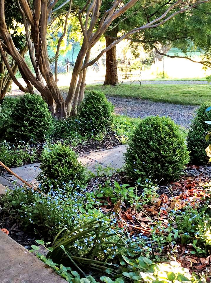 1223 Munderoo-Ournie Road TUMBARUMBA 25