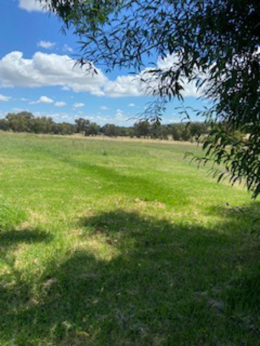 1225 South Bowan Park Rd  CARGO 19