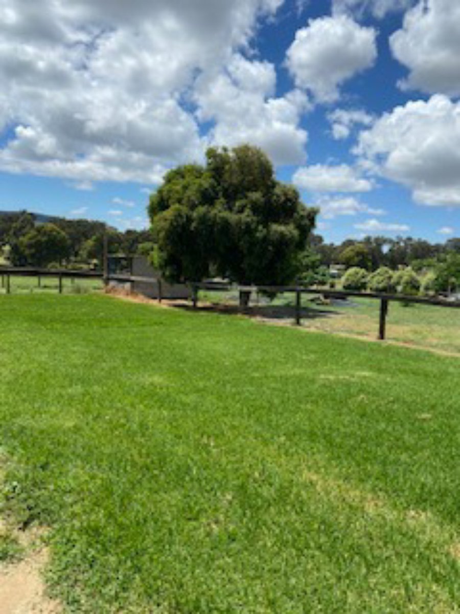 1225 South Bowan Park Rd  CARGO 21