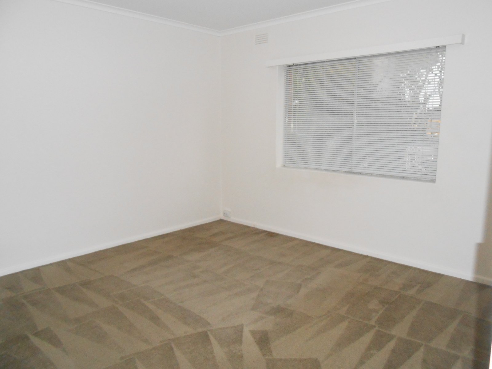 Gallery: 12/29 Graham Road