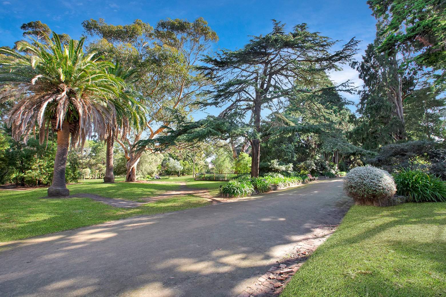 Real Estate and Property in 1/23 Dickens Street, Elwood, VIC