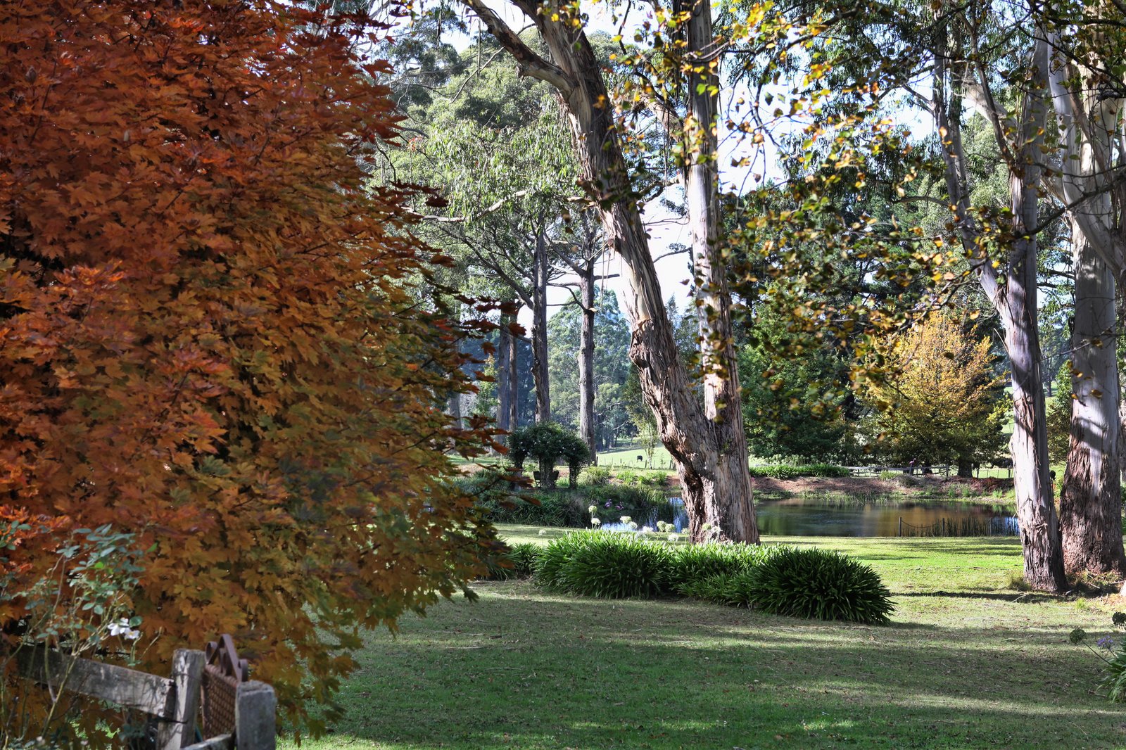 Real Estate and Property in 123 Hesket-Boundary Road, Hesket, VIC