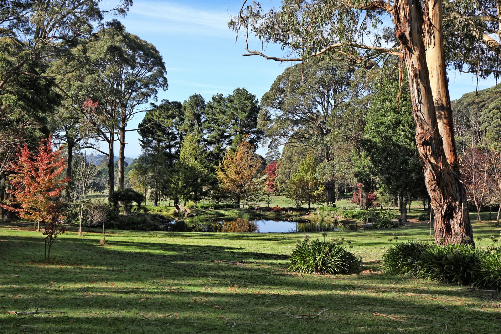 Real Estate and Property in 123 Hesket-Boundary Road, Hesket, VIC