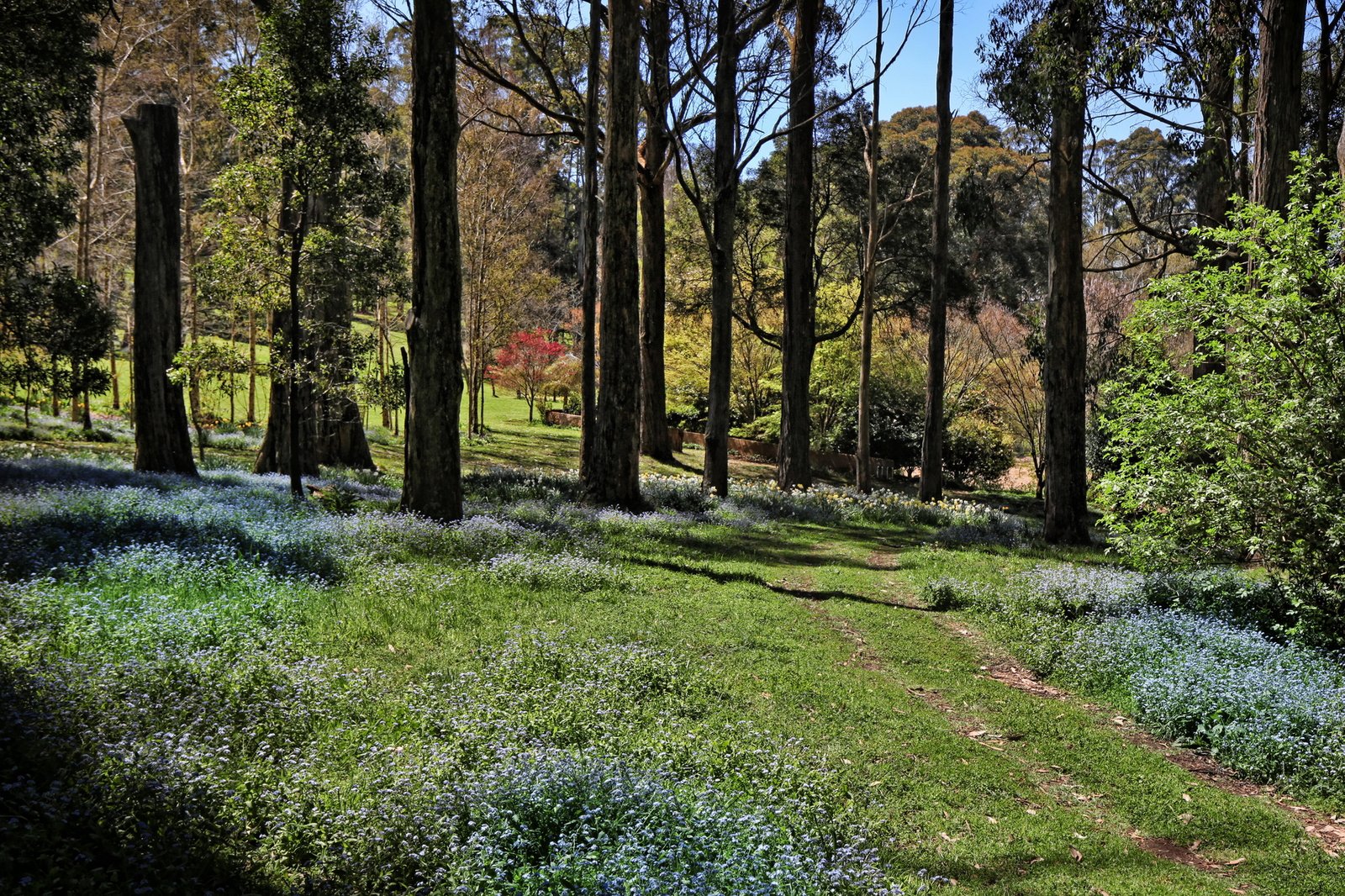 Real Estate and Property in 123 Hesket-Boundary Road, Hesket, VIC