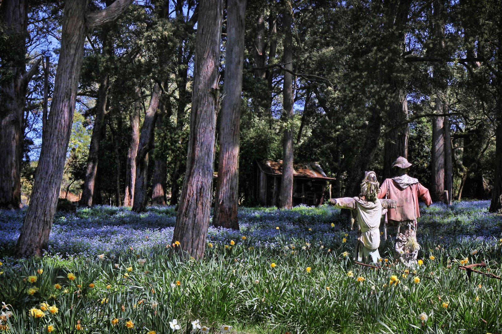 Real Estate and Property in 123 Hesket-Boundary Road, Hesket, VIC