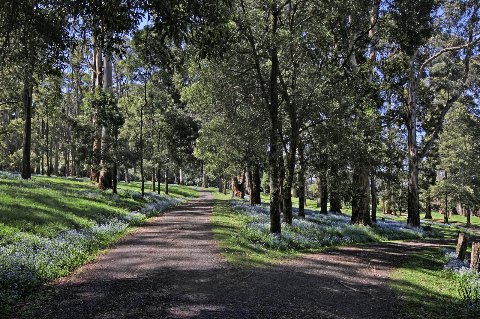 Real Estate and Property in 123 Hesket-Boundary Road, Hesket, VIC